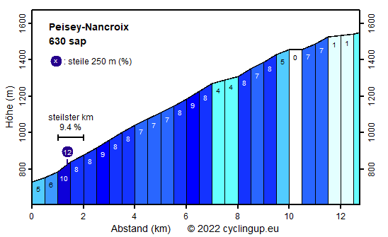 Profil Peisey-Nancroix