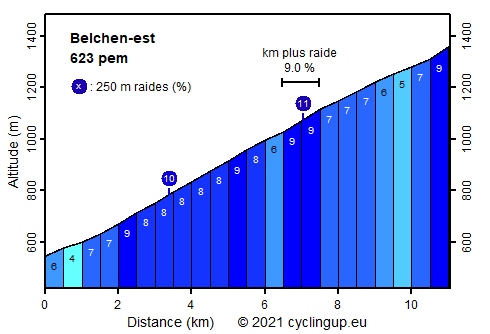 Profile Belchen-est