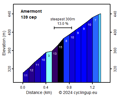 Profile Amermont