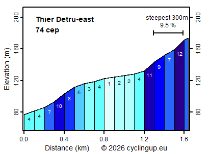 Profile Thier Detru-east
