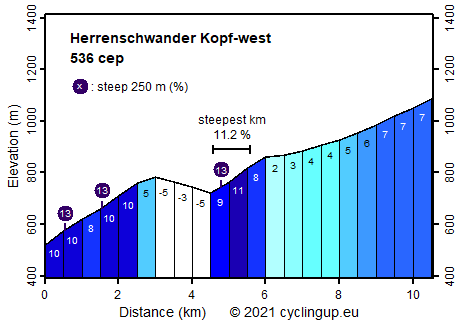 Profile Herrenschwander Kopf-west