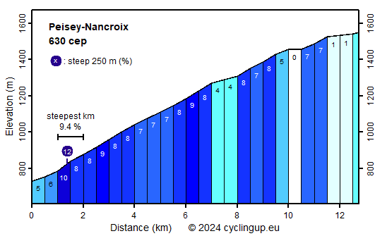 Profile Peisey-Nancroix