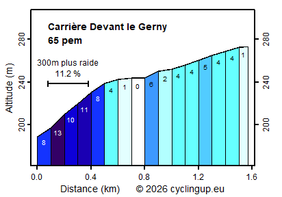 Profile Carrière Devant le Gerny