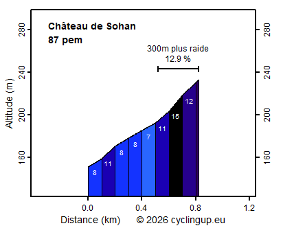 Profile Château de Sohan