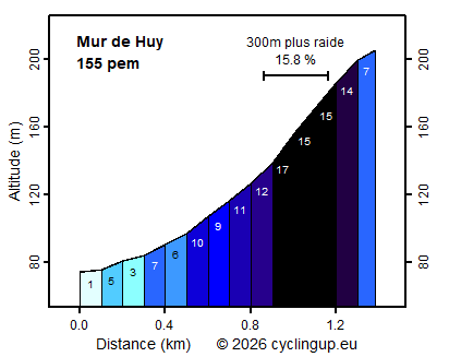 Profile Mur de Huy