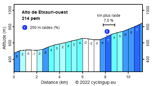 Profile Alto de Etxauri-ouest