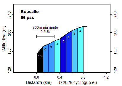 Profilo Bousalle