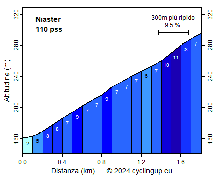 Profilo Niaster