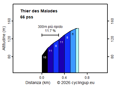 Profilo Thier des Malades