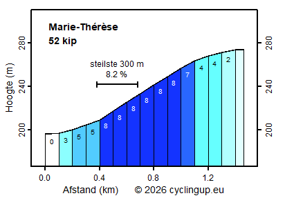 Profiel Marie-Thérèse
